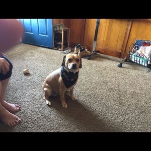 Meet your Posher, Richard